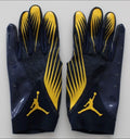 Jordan Michigan
VaporKnit 4.0 Football Gloves