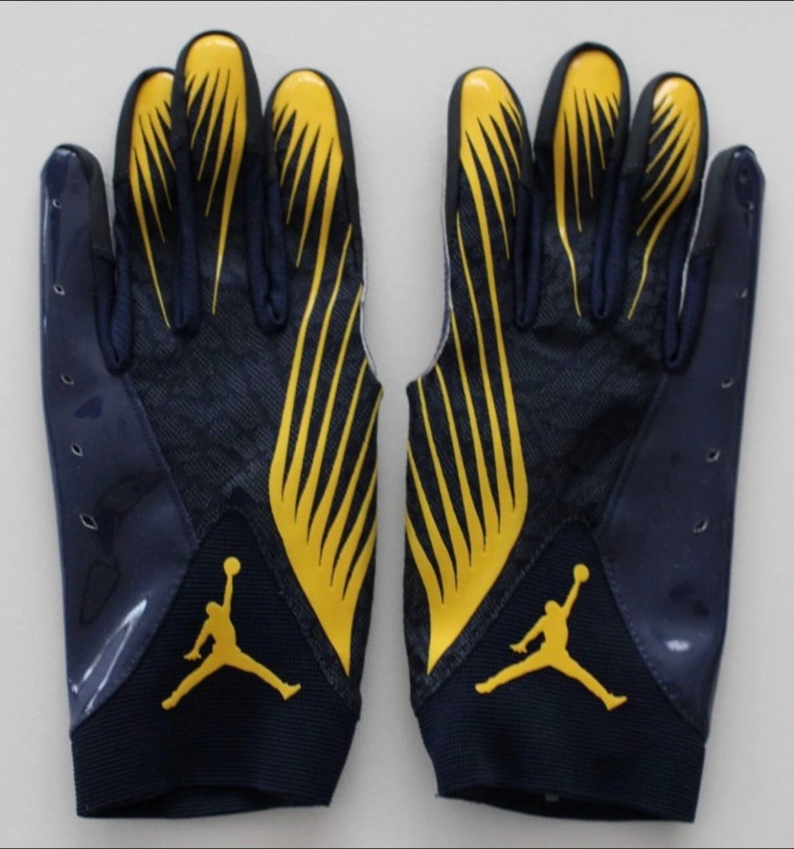 Jordan Michigan
VaporKnit 4.0 Football Gloves